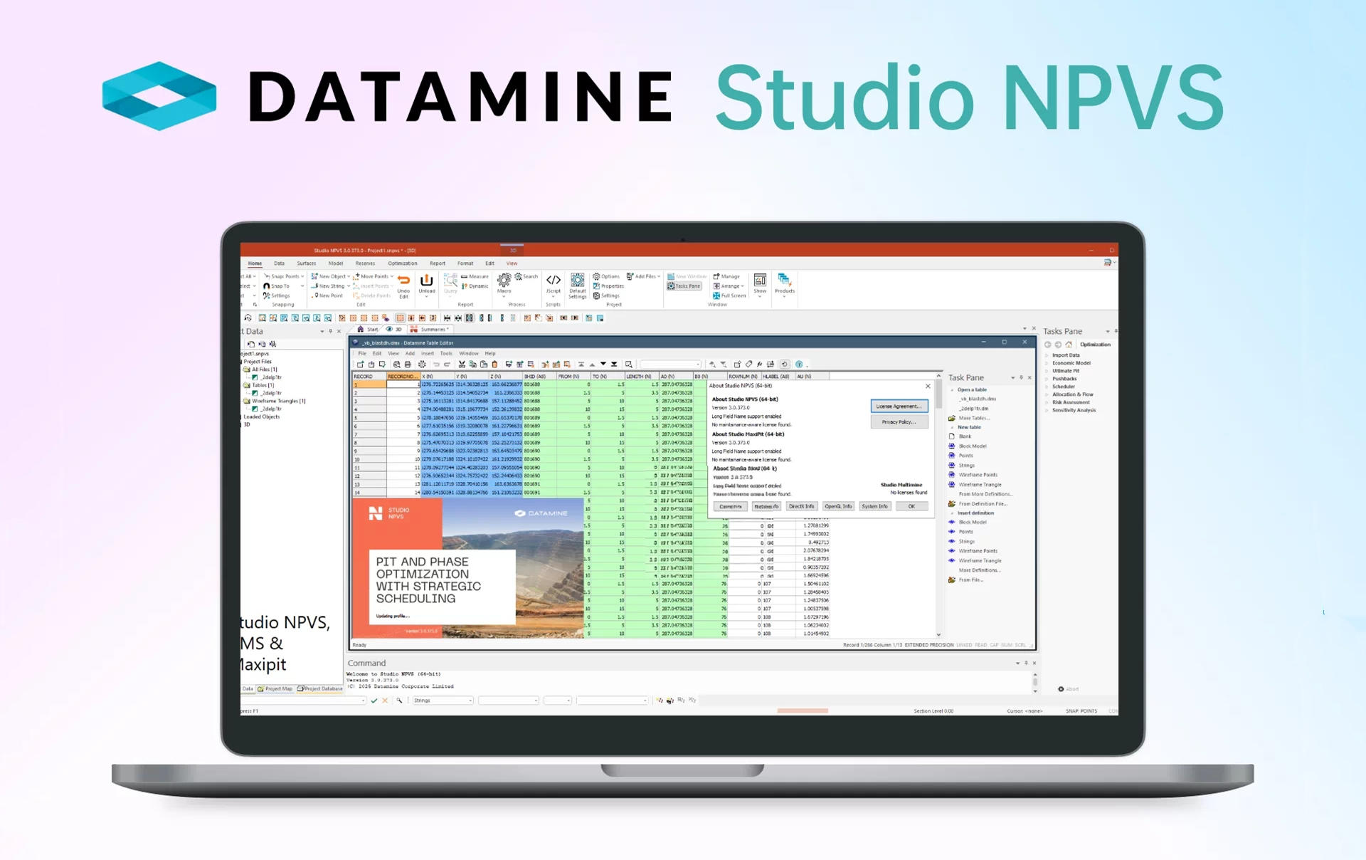 Datamine Studio NPVS v3.0.373.0 露天采矿作业规划软件