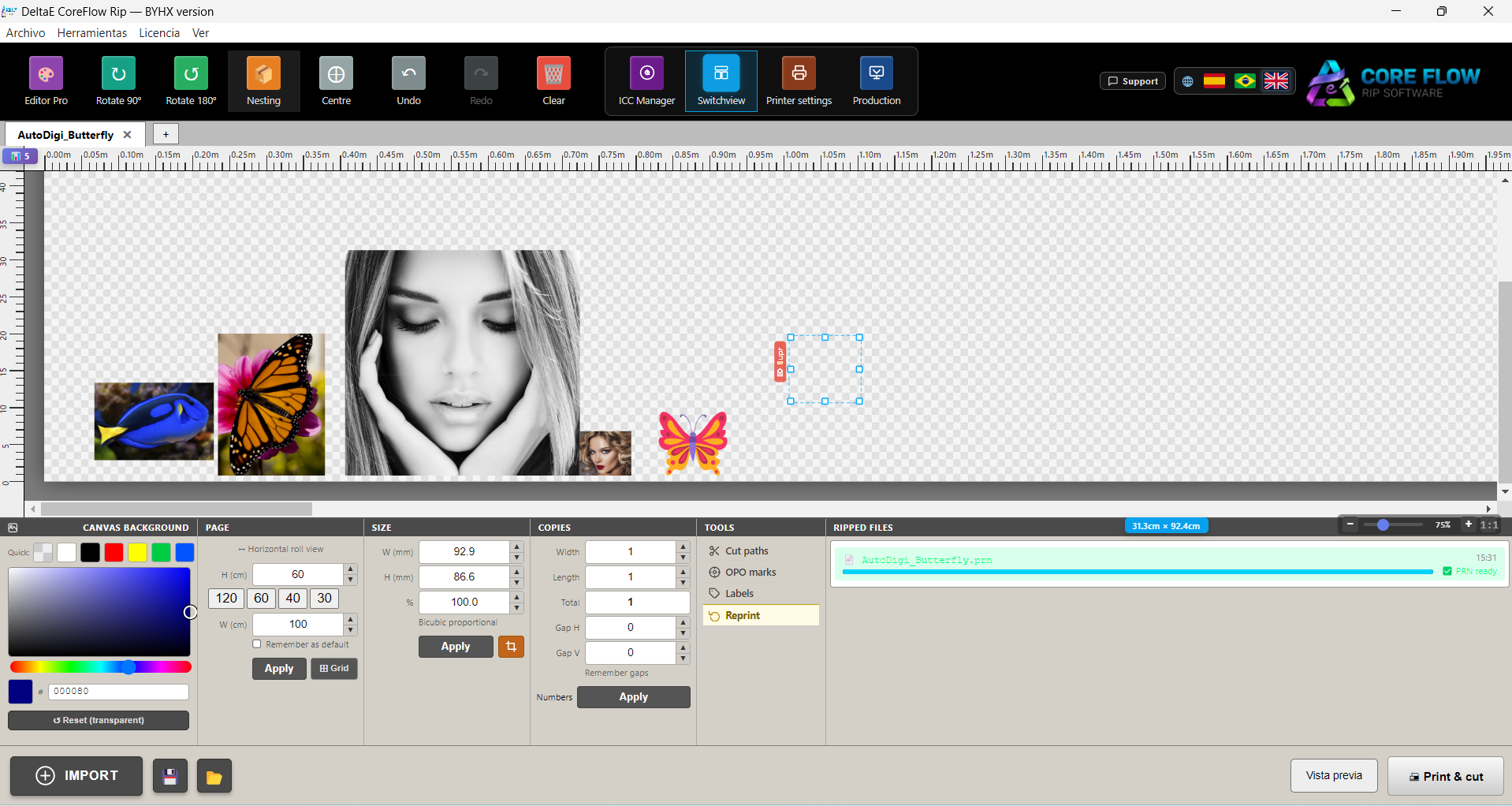 DeltaE CoreFlow RIP v4.0 加密狗版 用于DTF专业级RIP软件071736