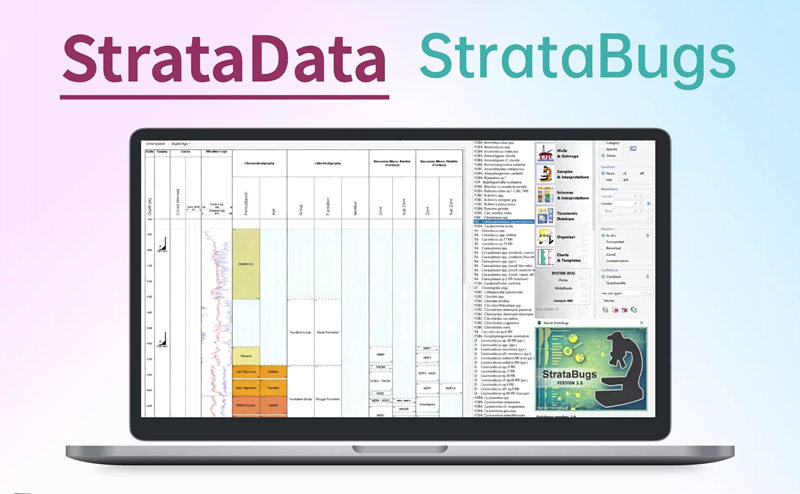 StrataData StrataBugs v3.0.104 生物地层数据管理和地质解释软件
