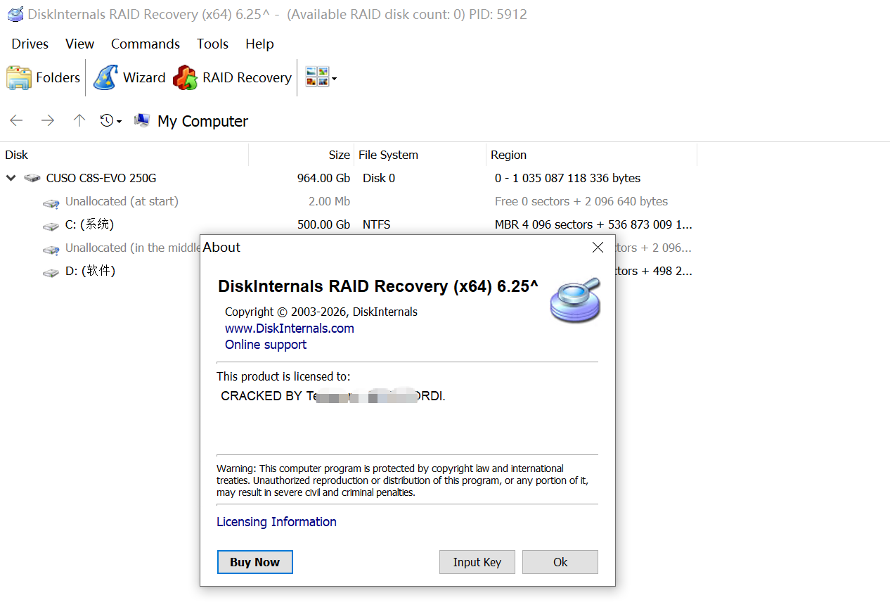 DiskInternals Raid Recovery 6.25 加密狗版 数据恢复软件
